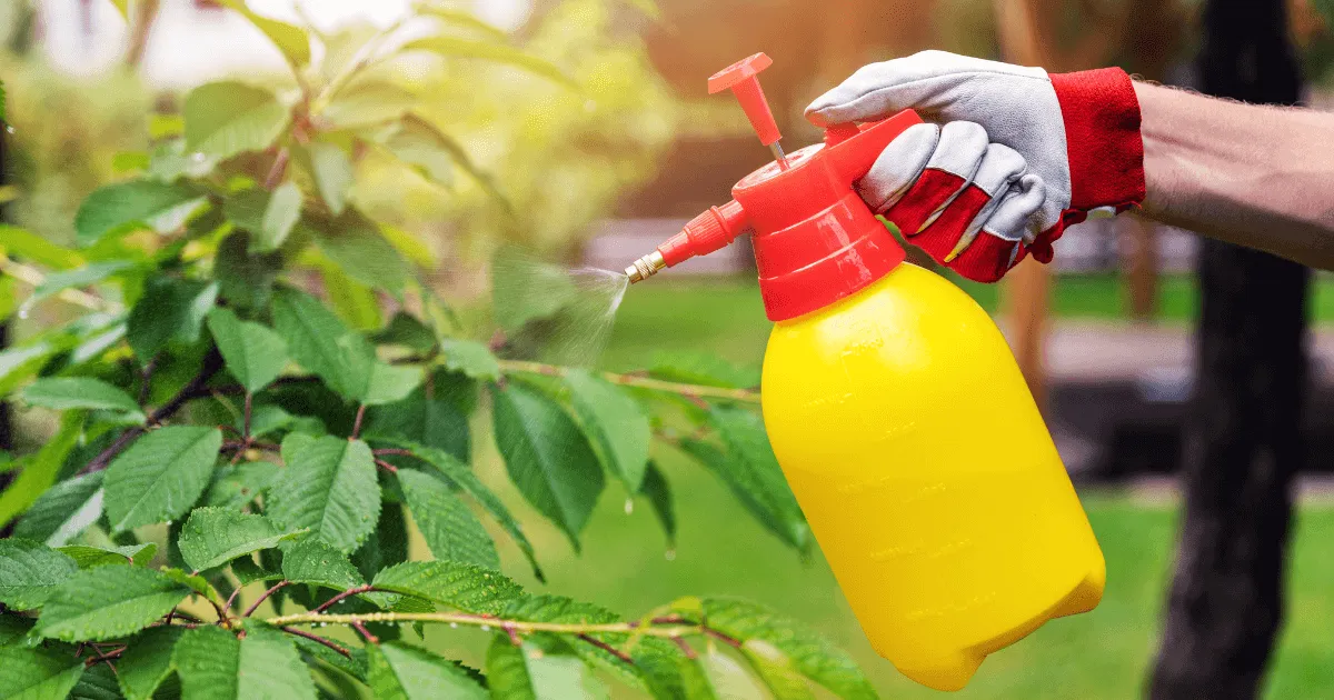 15+ Common Tree Diseases & How To Treat Them