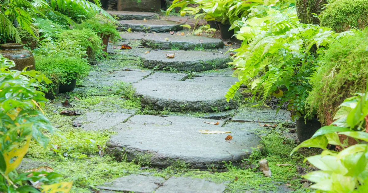 15+ Simple & Beautiful Garden Pathway Ideas