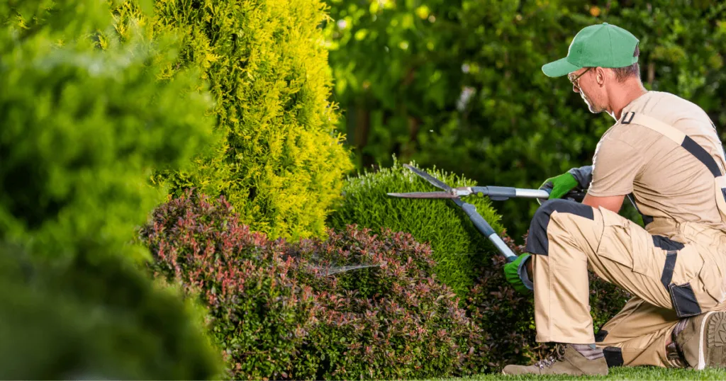 15 Tips To Prepare Your Yard For Winter