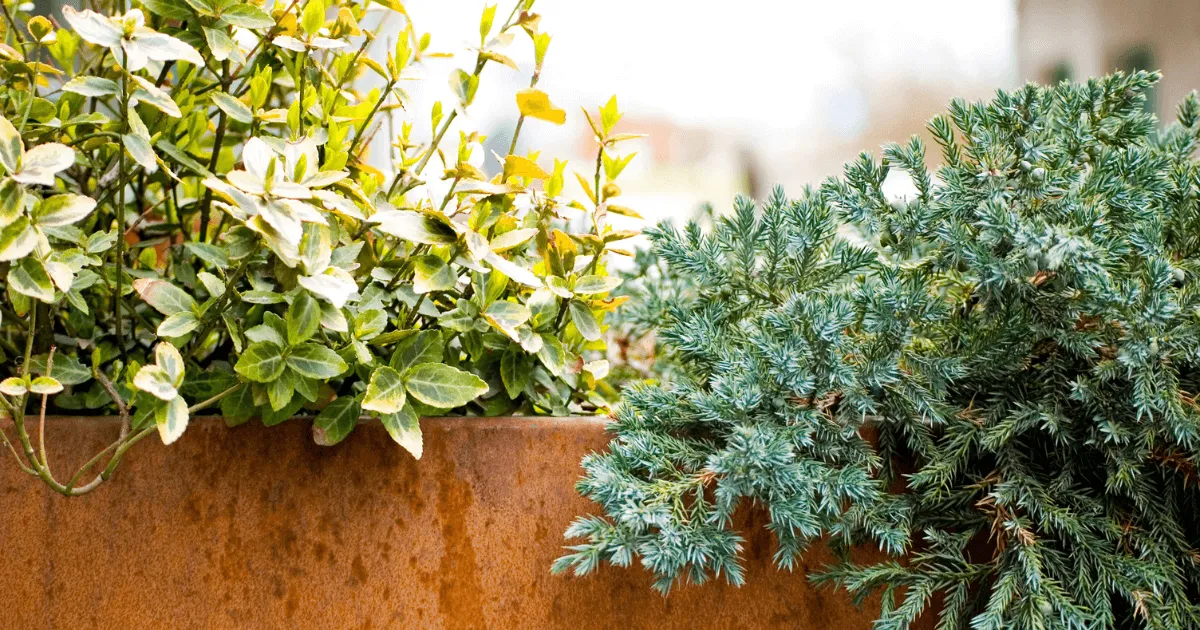 20+ Garden Wall Ideas for Your Landscape