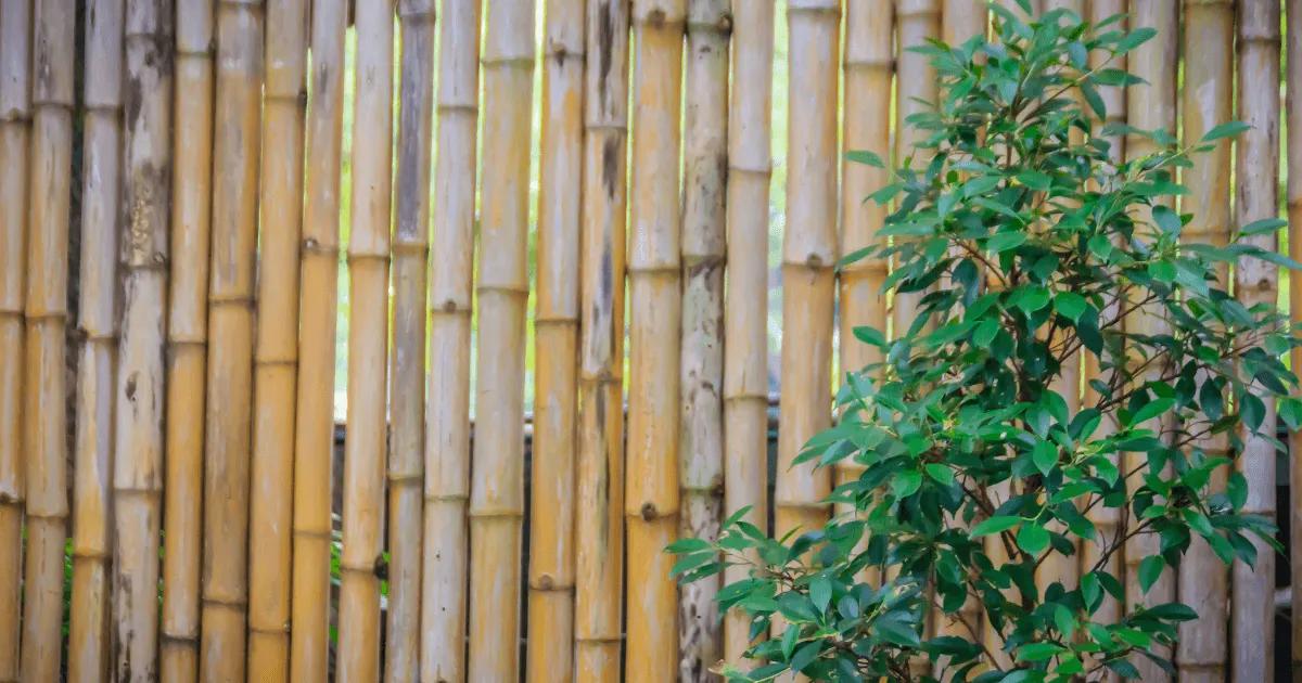 20+ Garden Wall Ideas for Your Landscape