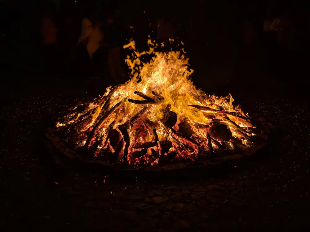 4 Types of Firewood For Burning