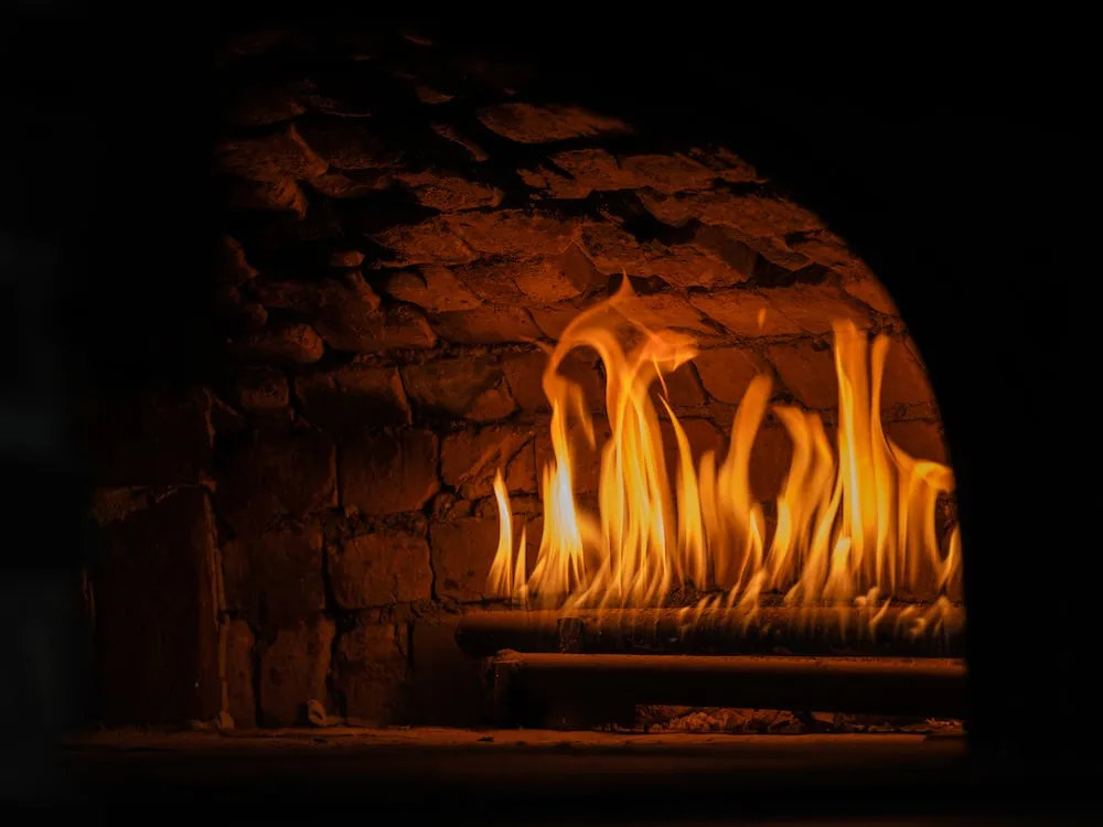 4 Types of Firewood For Burning