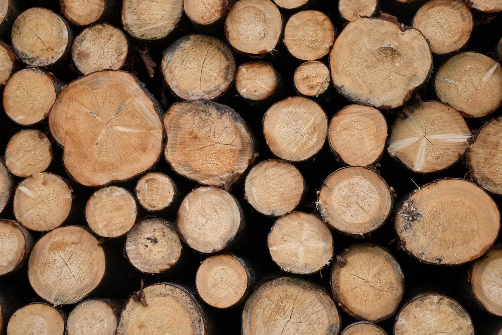4 Types of Firewood For Burning