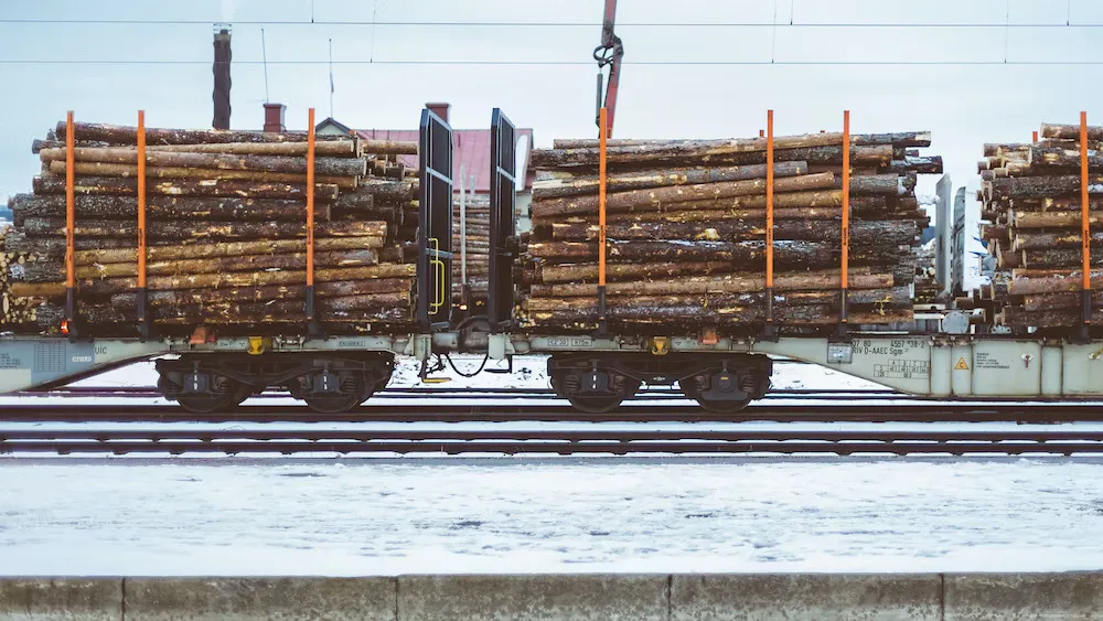 4 Types of Firewood For Burning