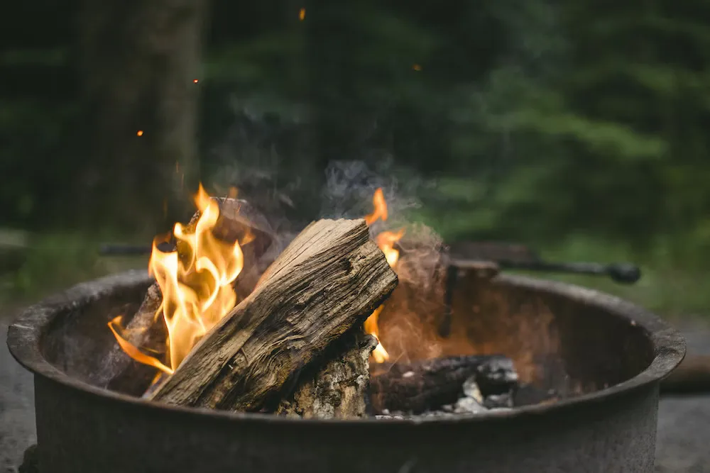 4 Types of Firewood For Burning