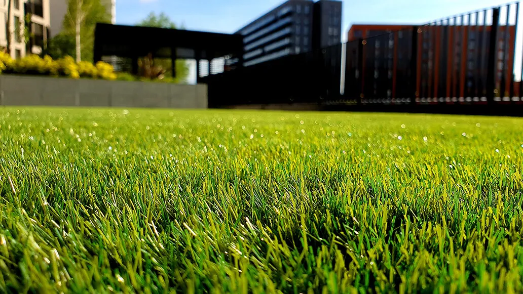 5 Tips To Edge Your Lawn Like A Pro