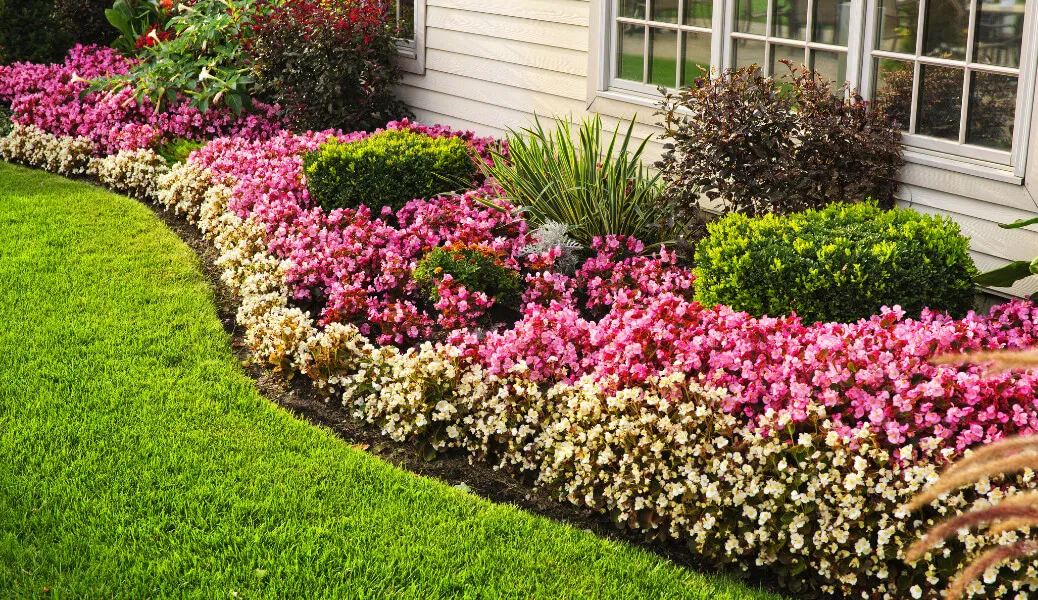 5 Tips To Edge Your Lawn Like A Pro
