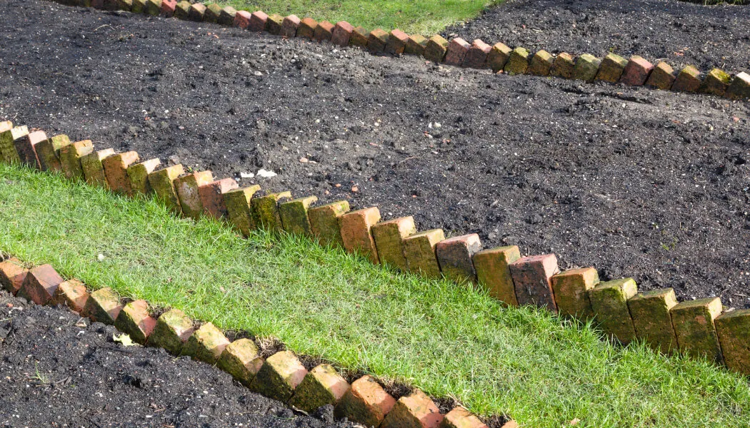 5 Tips To Edge Your Lawn Like A Pro