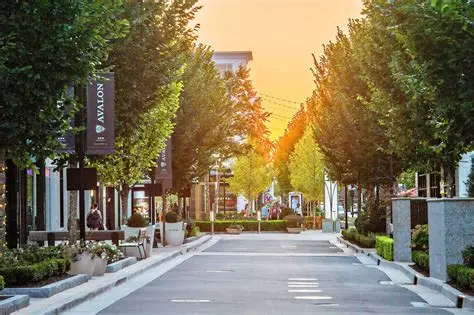 Avalon Area