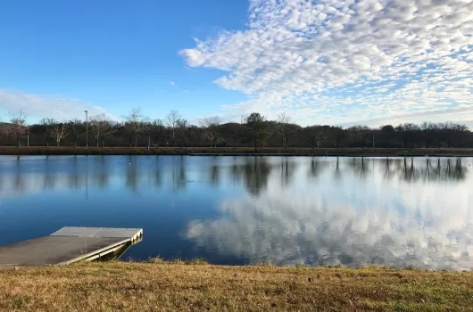 Bald Ridge Marina area