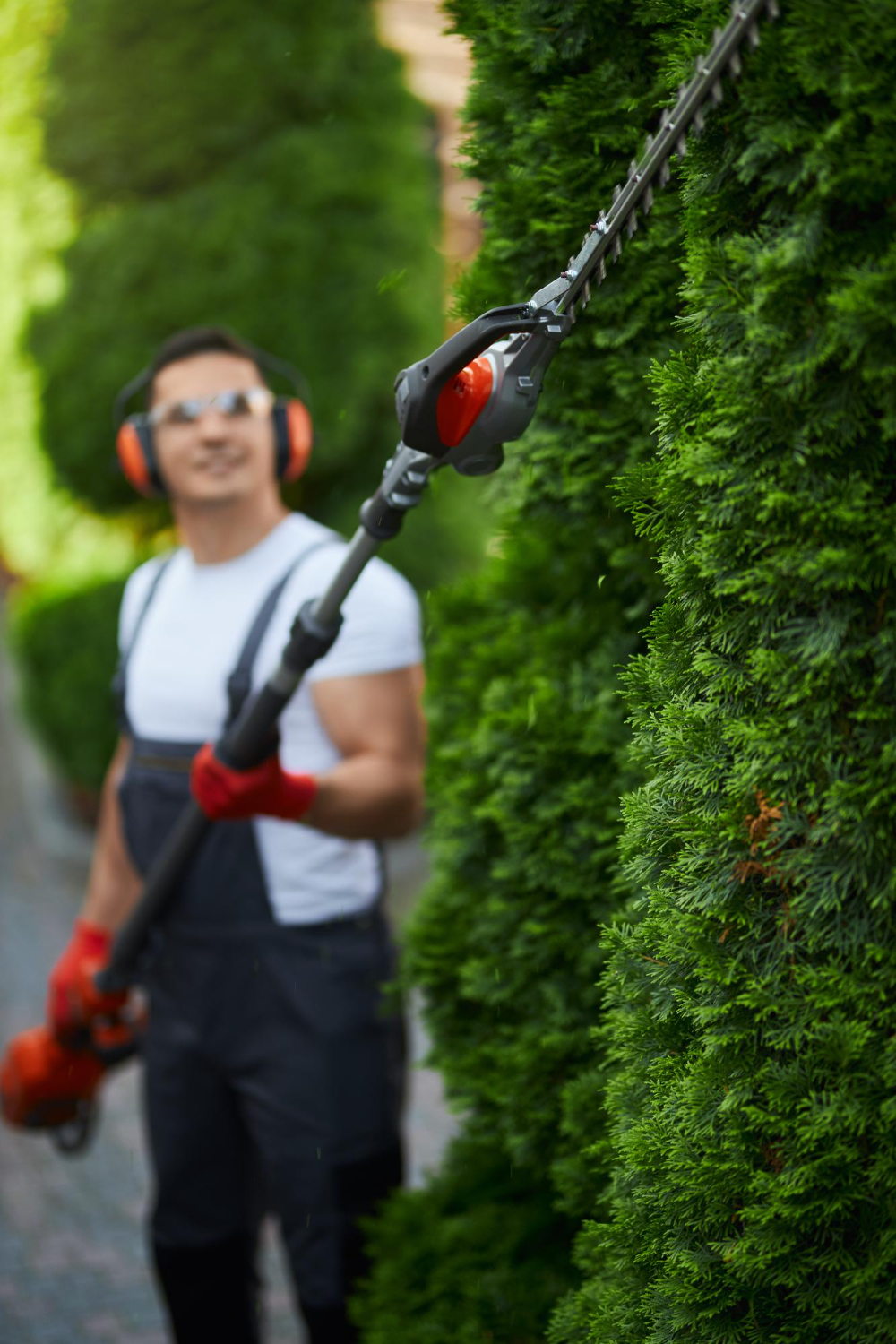 Tree trimming work