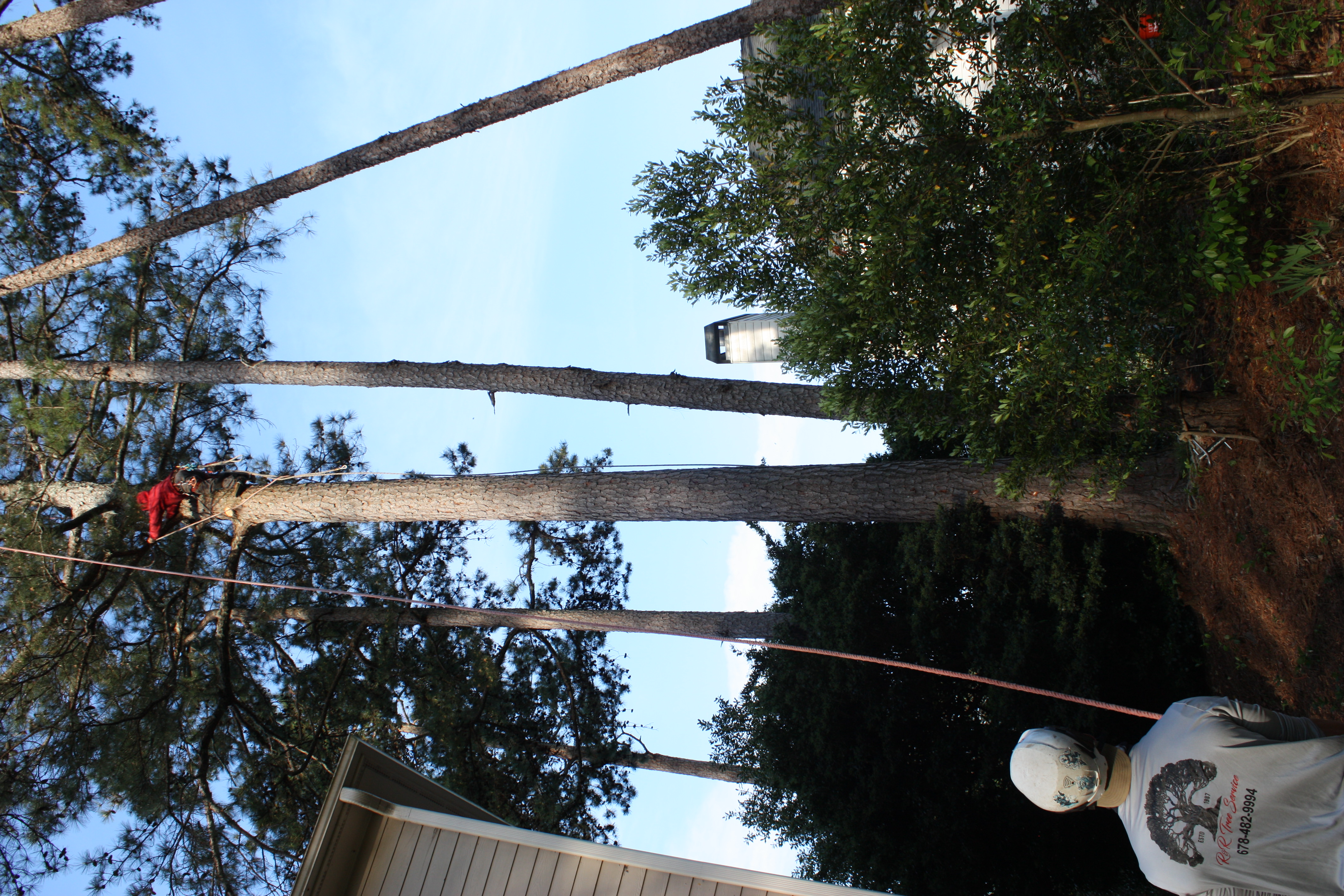 R&R Tree Service professional crew