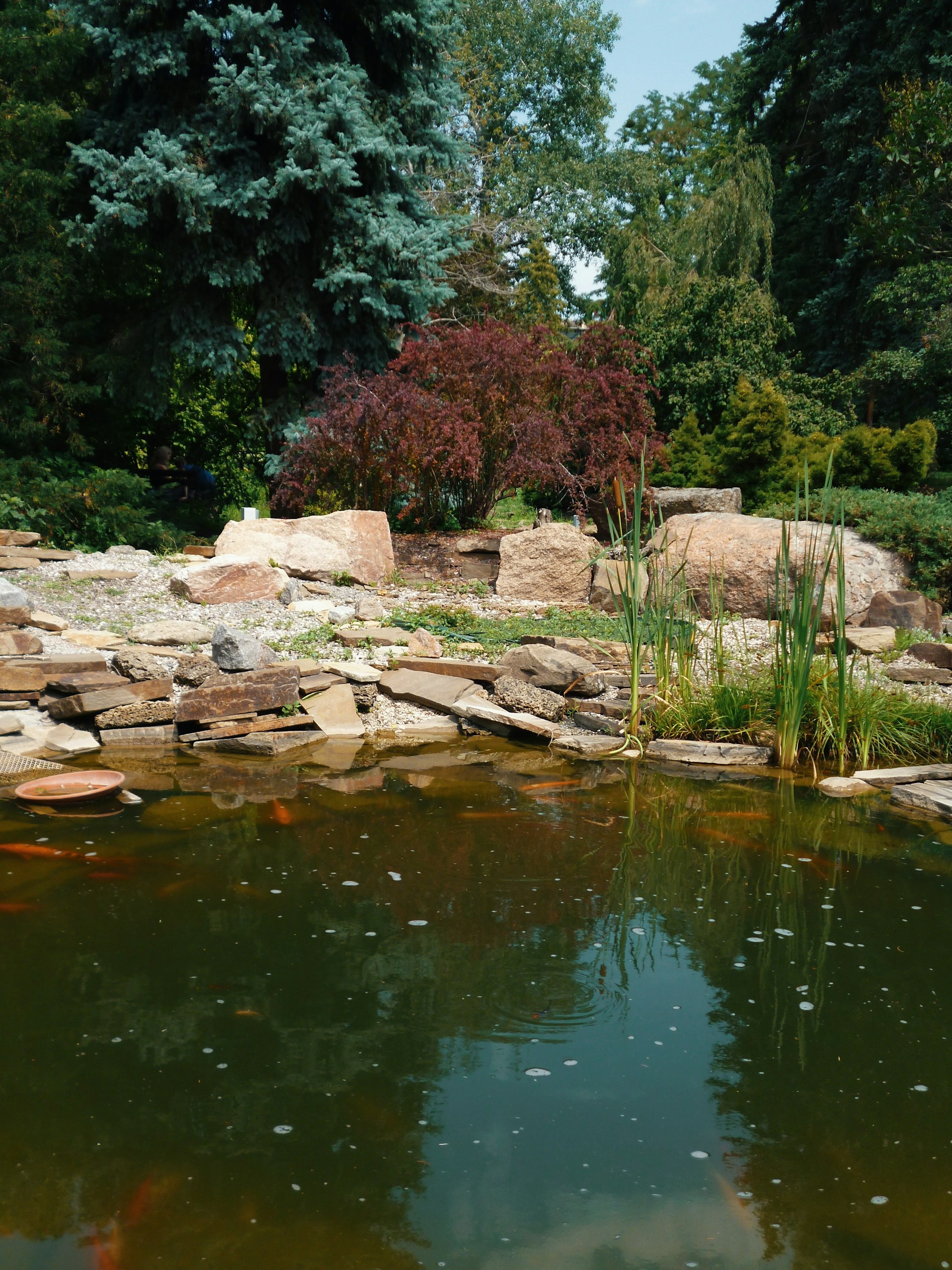 Retention pond maintenance experts