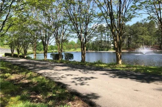 Five Forks area