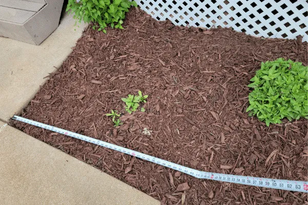 How Much Mulch Do I Need?