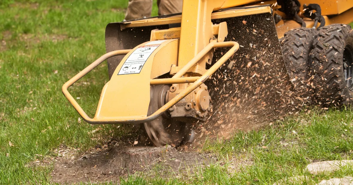 How To Grind a Tree Stump: 9 Steps