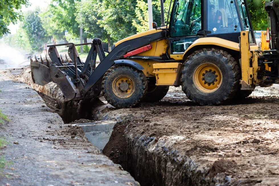 How To Kill Tree Roots: 5 Common Ways