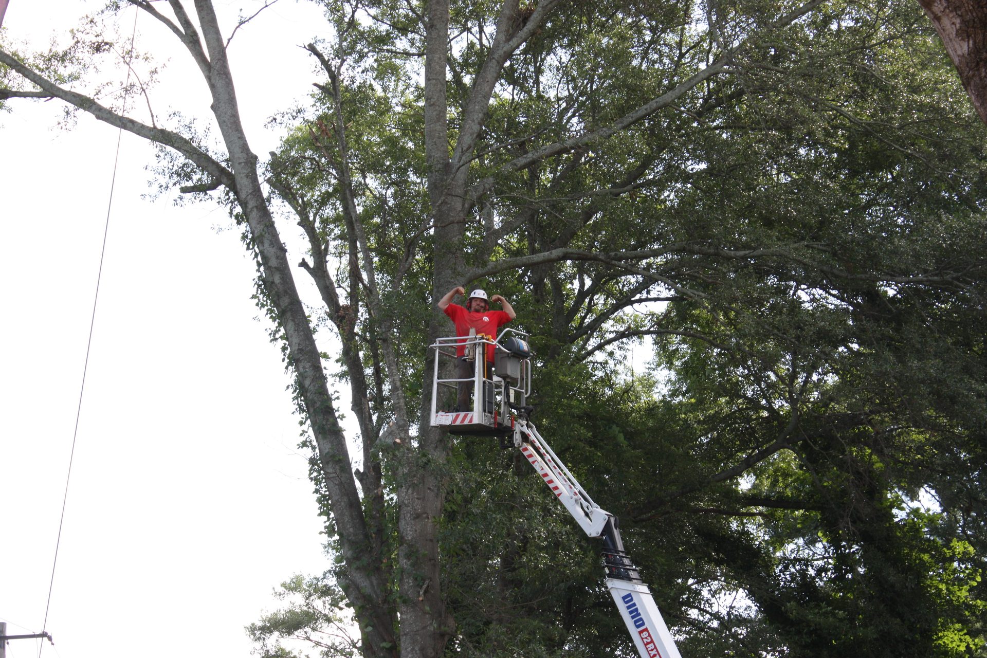My Neighbor's Tree Fell on My House: Who Pays in Georgia?