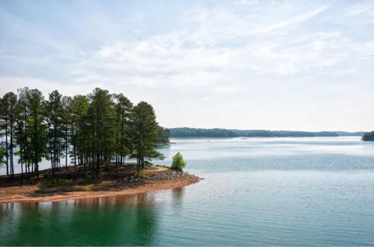 Lake Lanier area