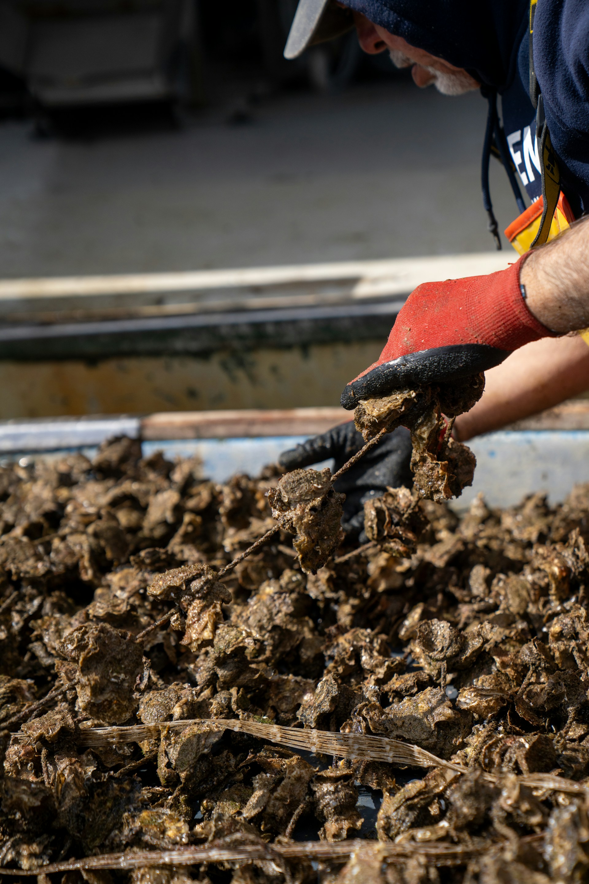 Mulch benefits for your garden