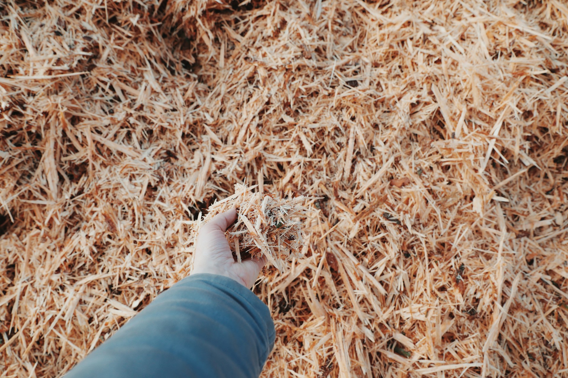 Healthy landscaping with mulch