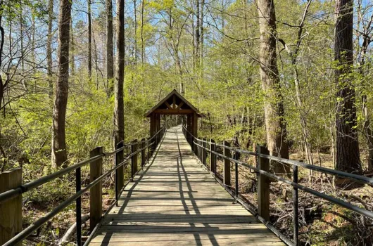 Near Suwanee Creek Park