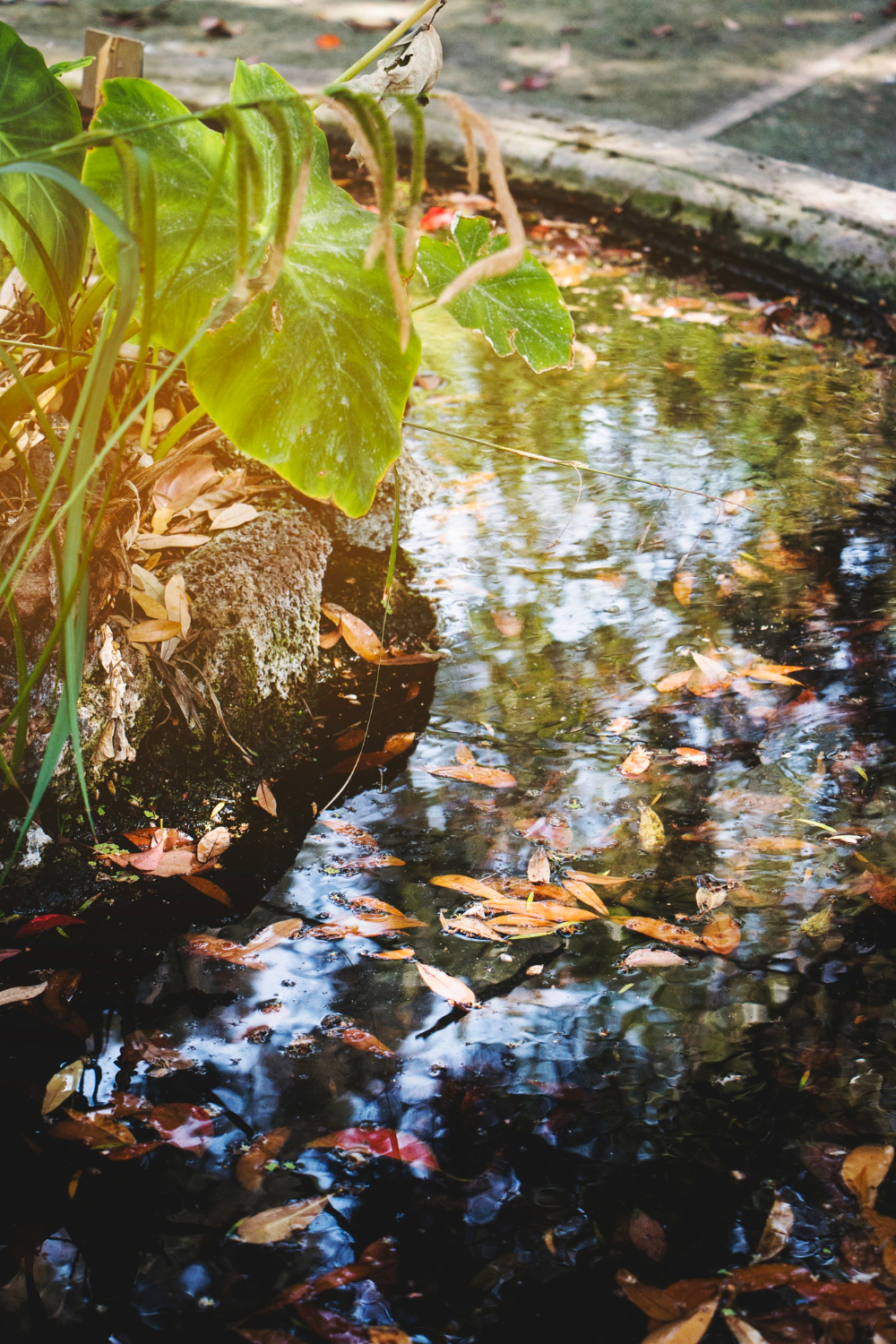 Retention pond maintenance benefits