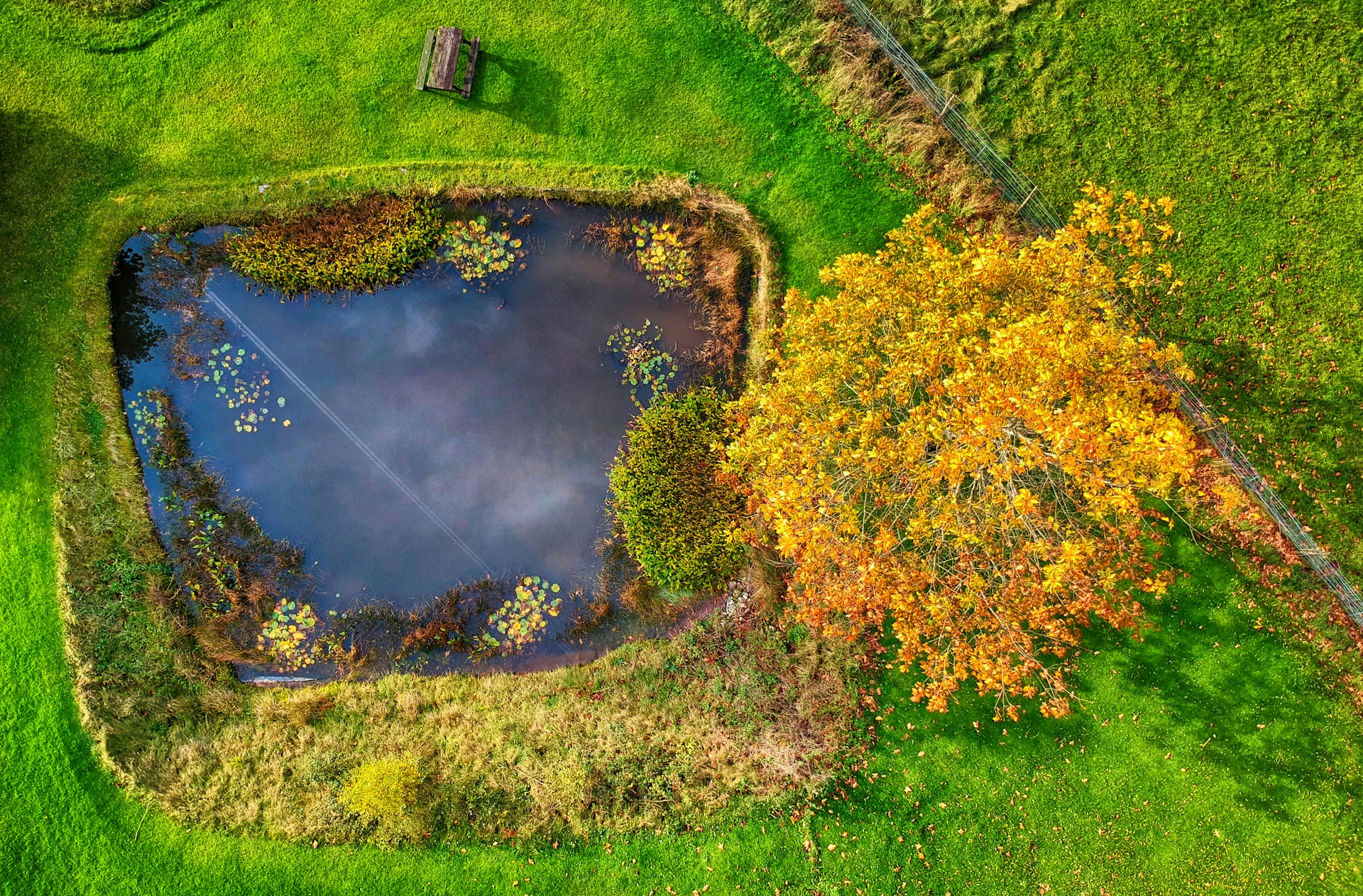 Retention pond maintenance in North Georgia