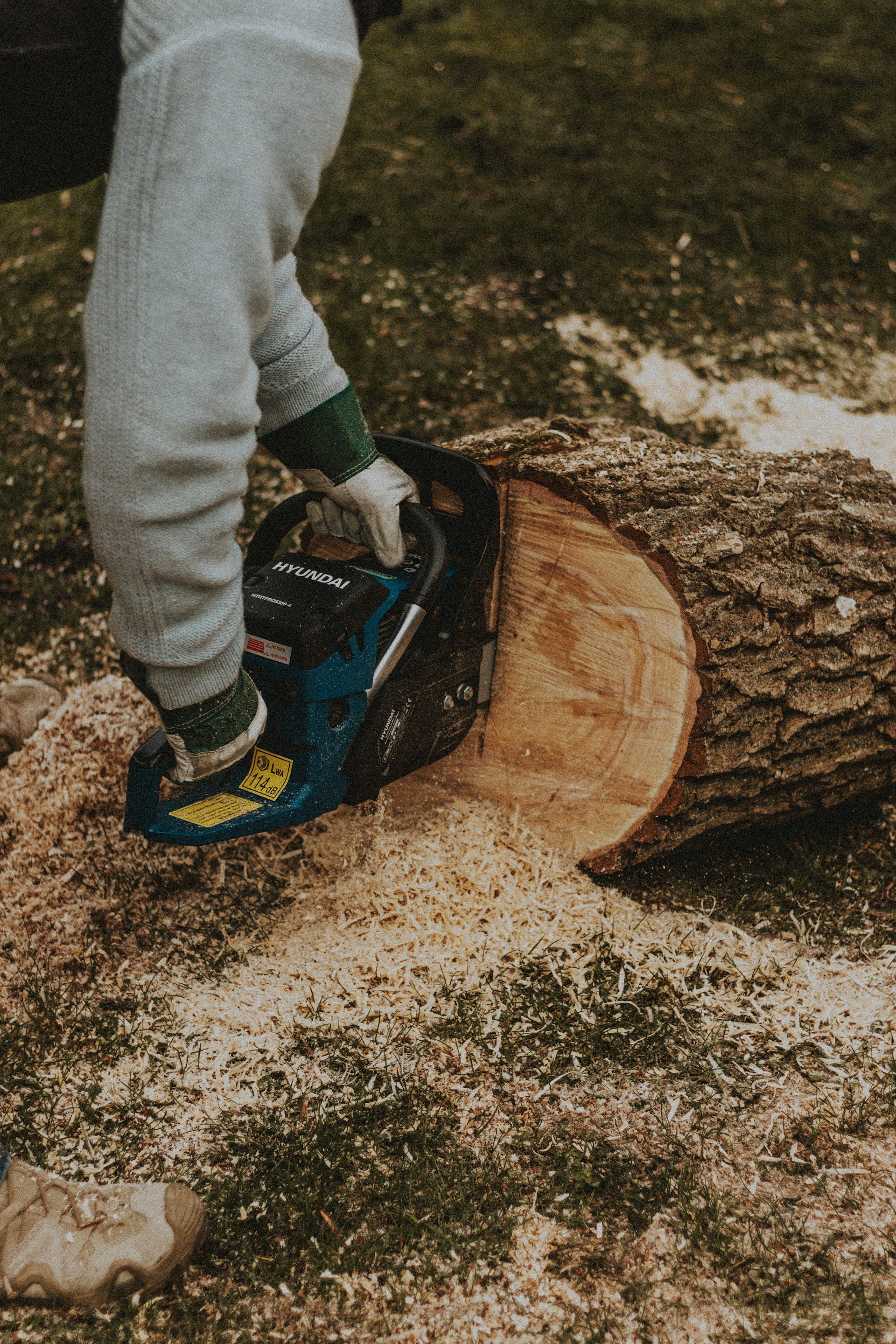Professional stump grinding safety
