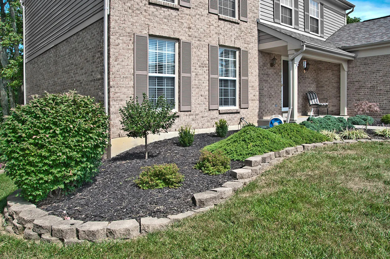 What Is Weeding & Why Is It Important?