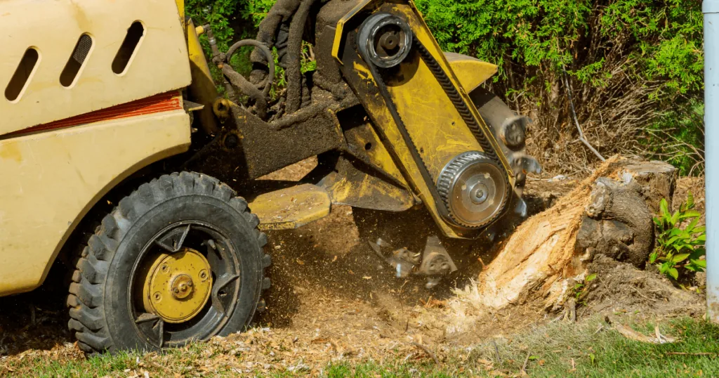 What To Do When A Tree Falls In Your Yard
