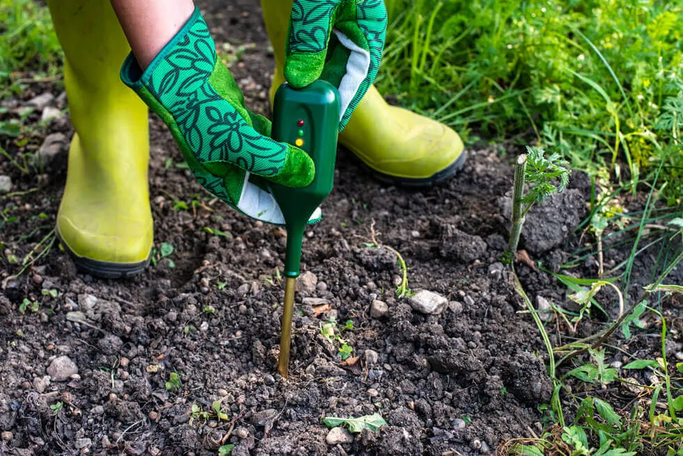 What is Landscaping: The Ultimate Beginners Guide