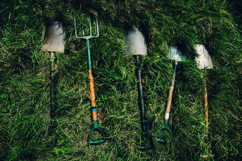 What is Landscaping: The Ultimate Beginners Guide