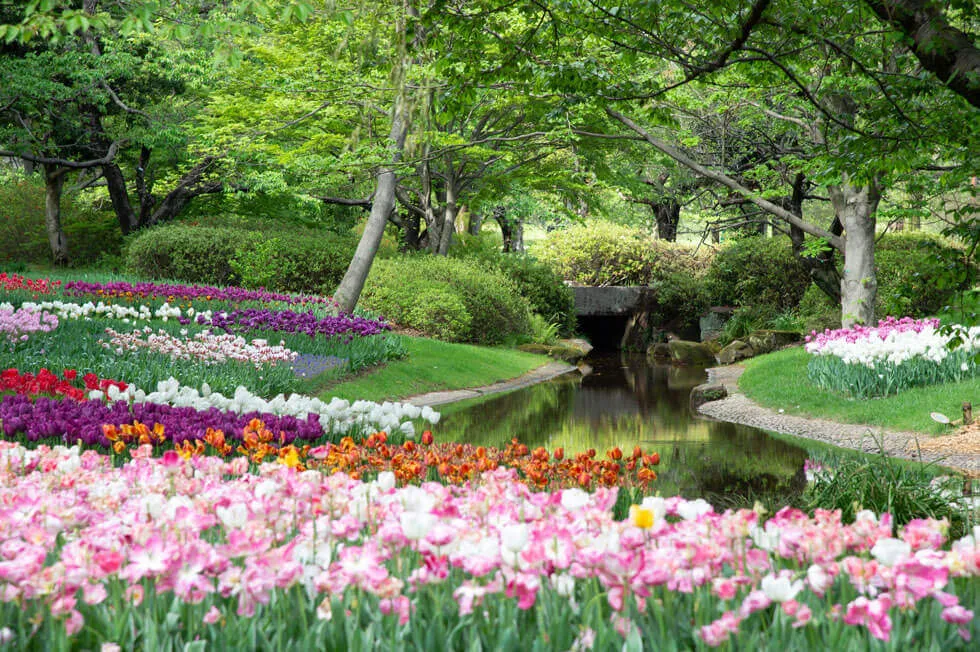 What is Landscaping: The Ultimate Beginners Guide