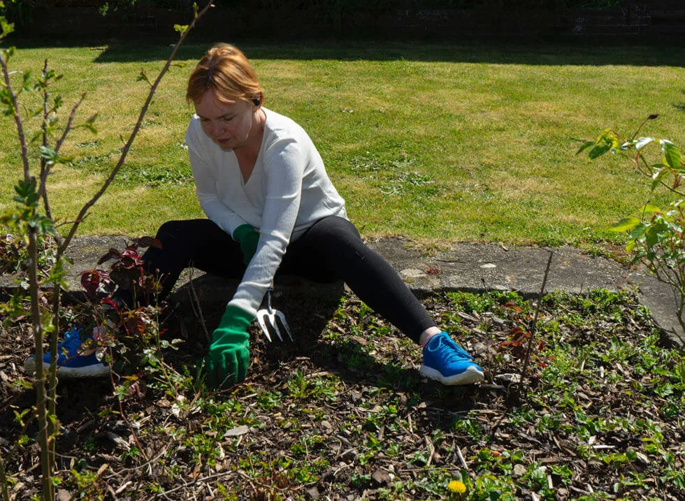 What is Landscaping: The Ultimate Beginners Guide