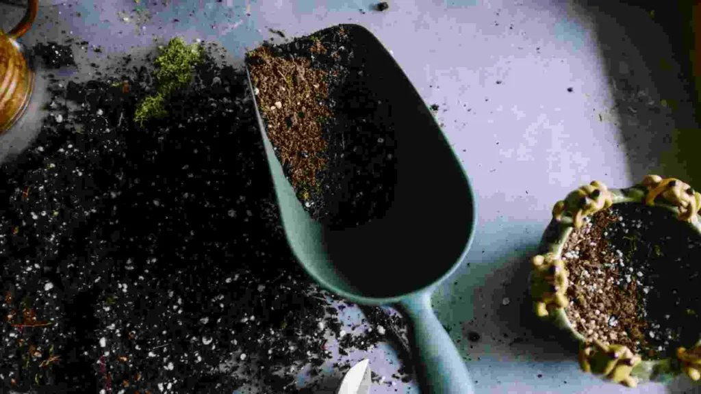 What is Mulch & What is it Used For?