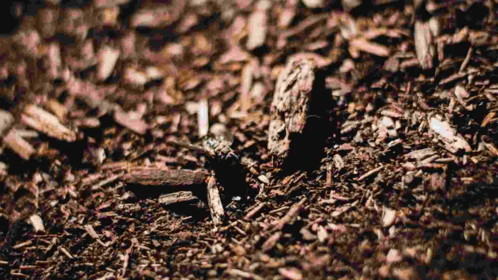 What is Mulch & What is it Used For?