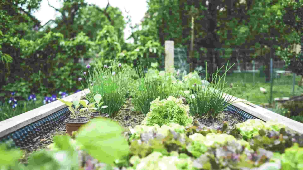 What is Mulch & What is it Used For?