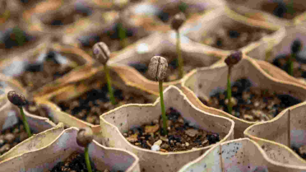 What is Mulch & What is it Used For?