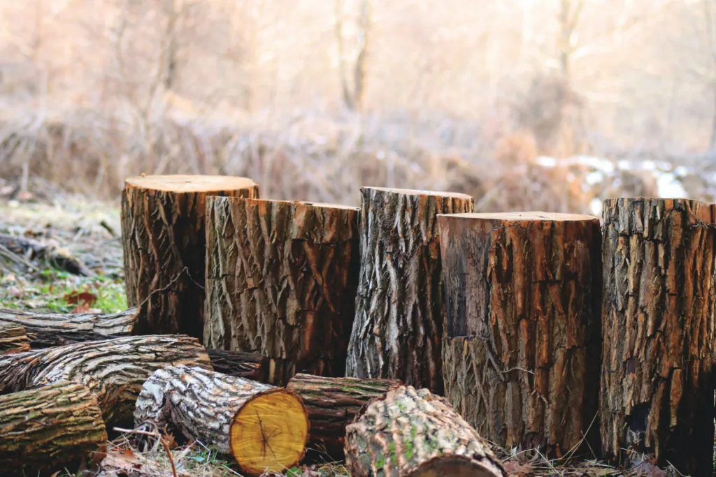 What is stump grinding?