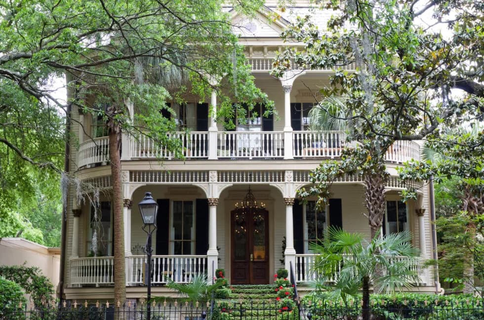 6 Essential Tree Maintenance Tips You Should Know