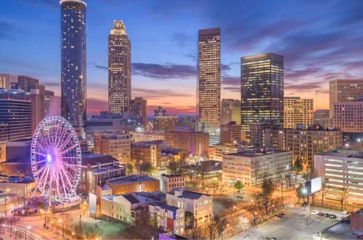 Atlanta, Georgia tree service