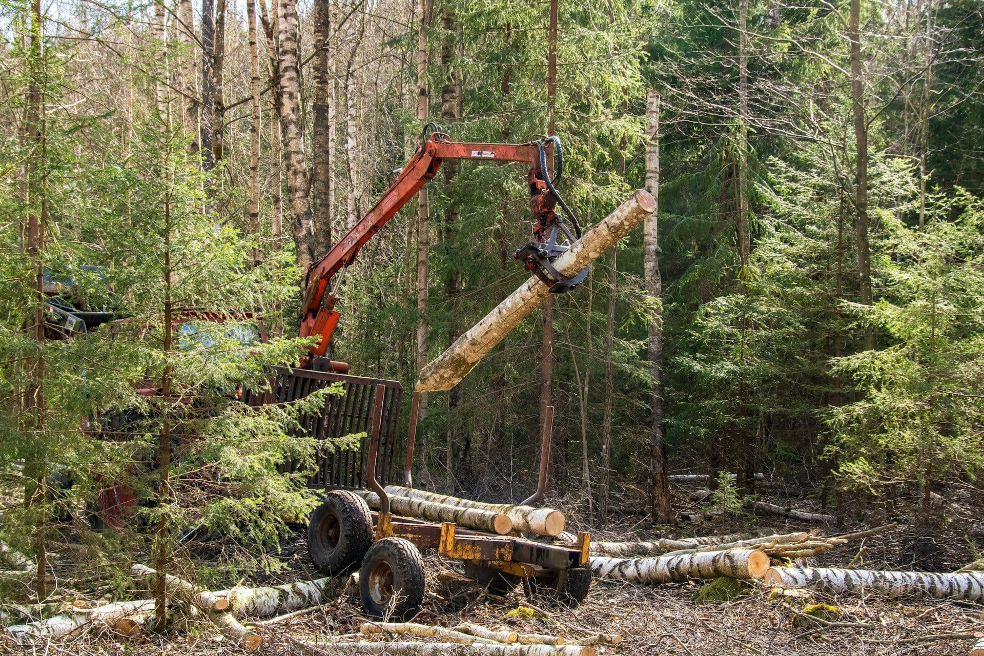 Crane rental service in North Georgia