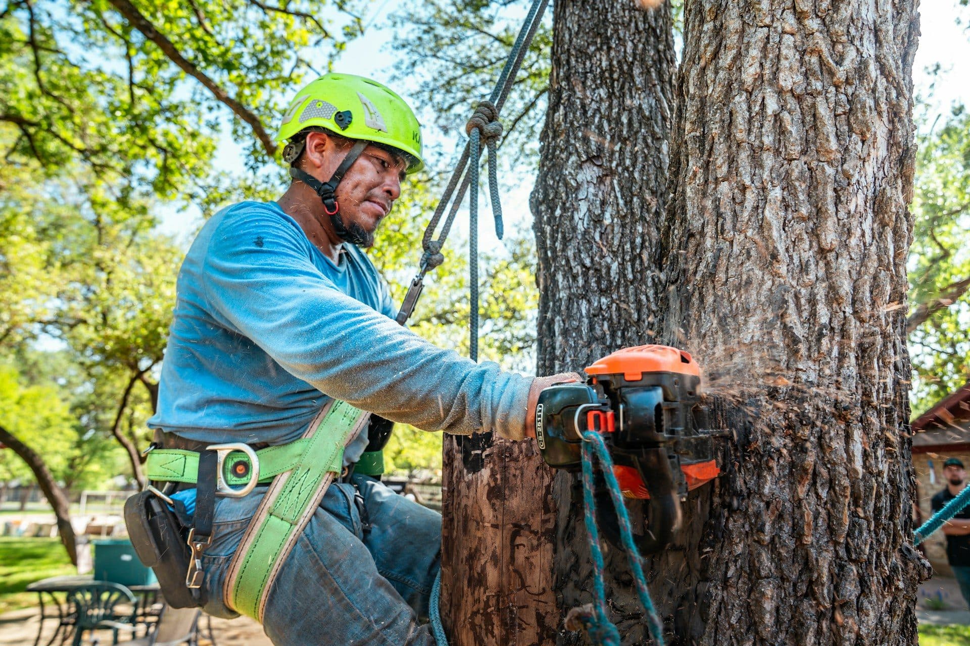24/7 Emergency tree removal in Atlanta and Gwinnett County