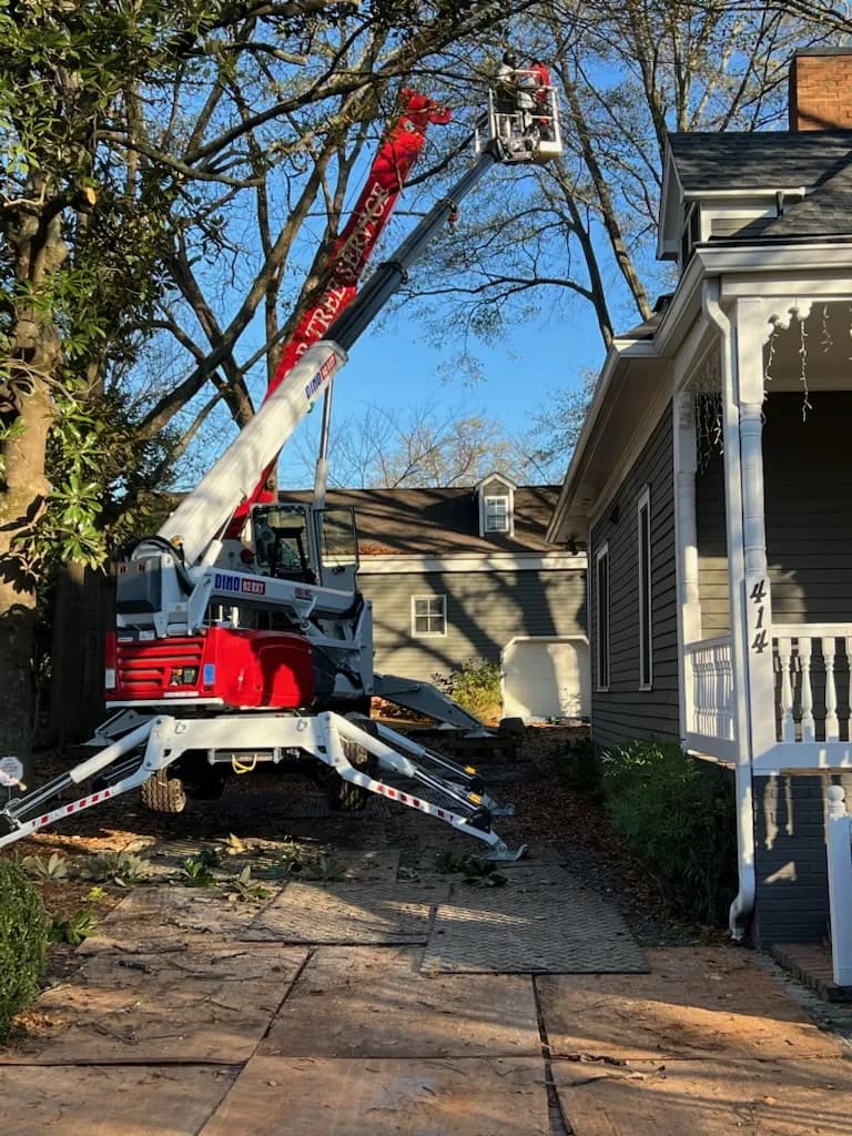R & R Tree Service crew removing a tree