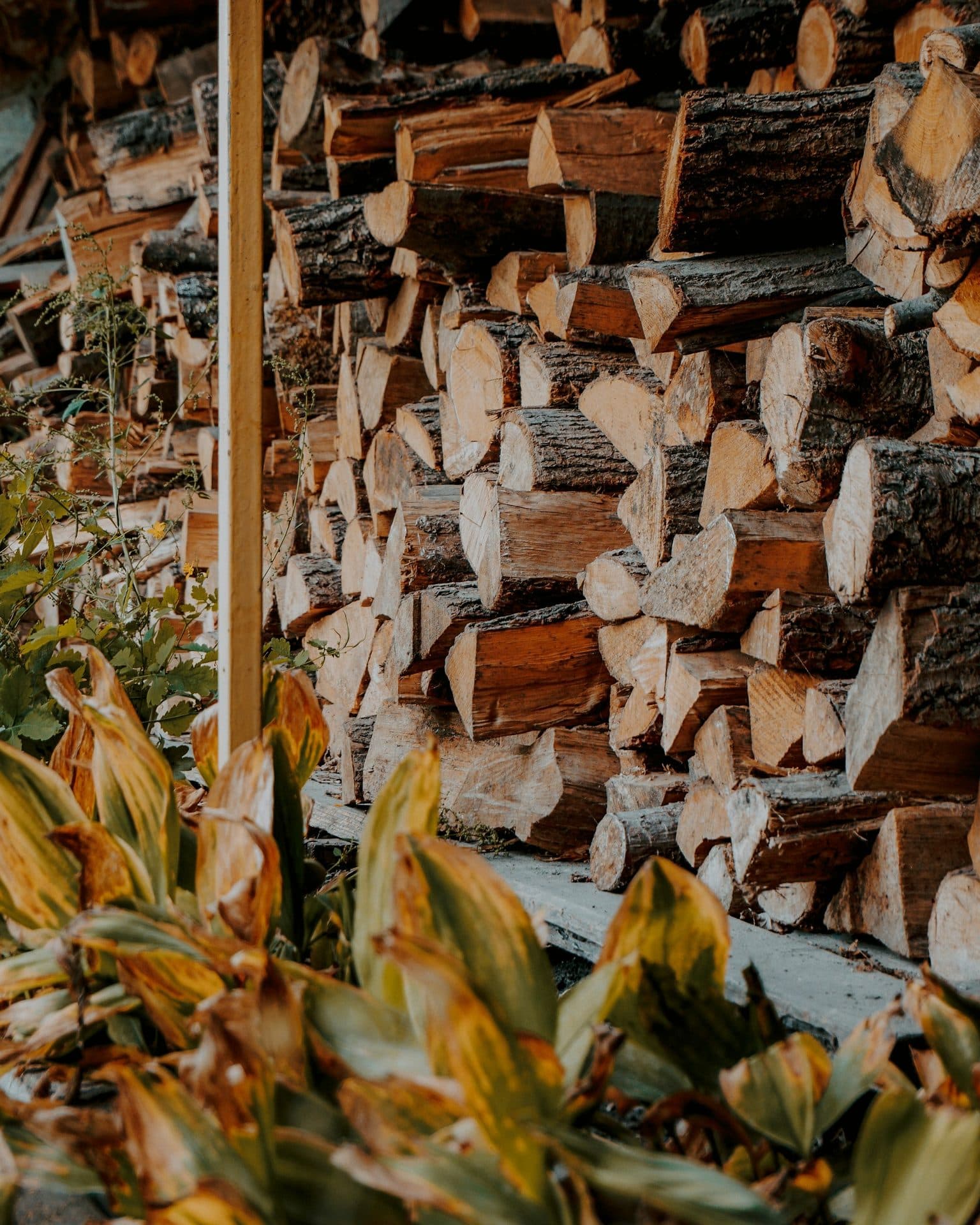 Firewood delivery benefits