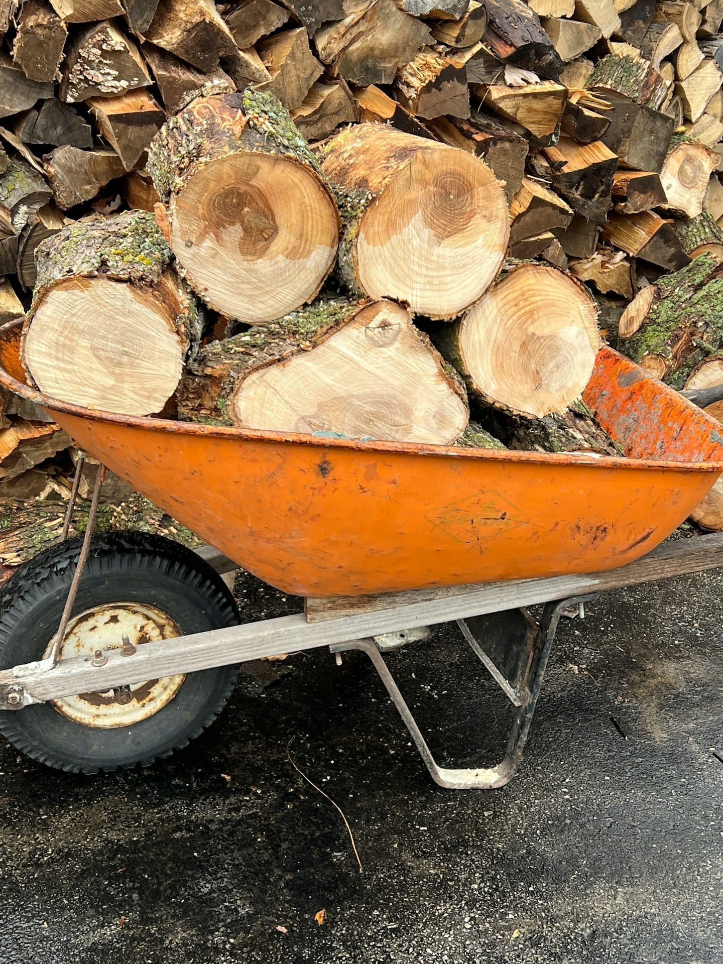 Firewood types and packages