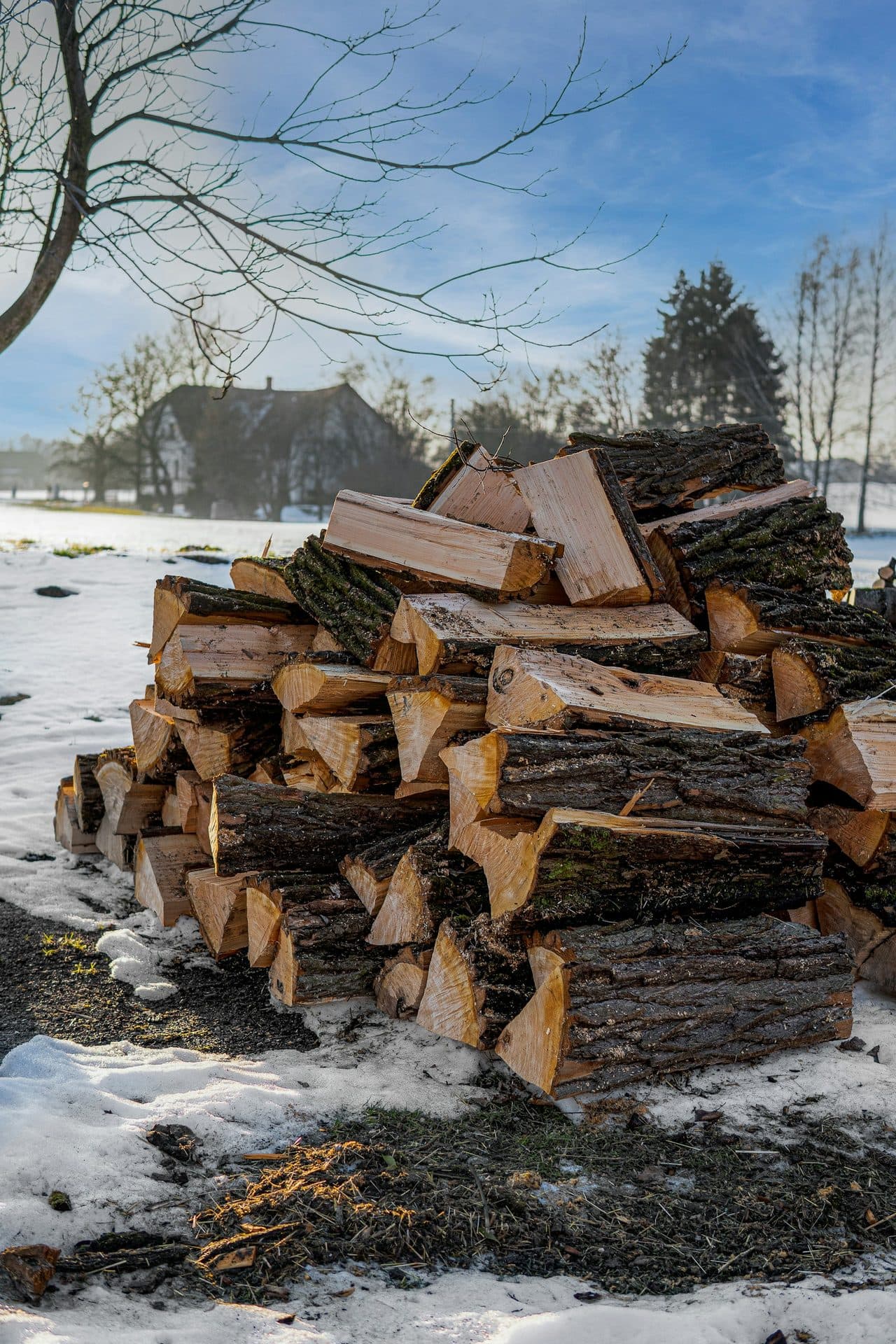 Firewood storage tips
