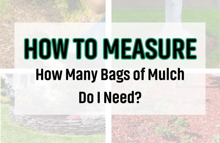 How Much Mulch Do I Need?